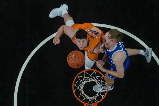 引进罗德里 引进罗德里